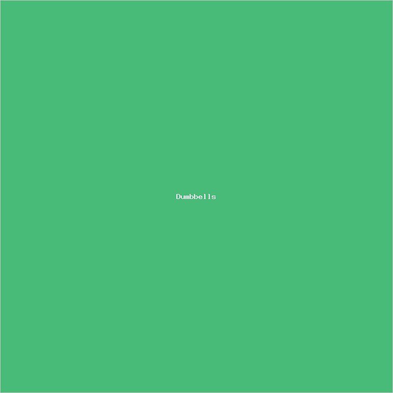 Adjustable Dumbbell Set 20kg